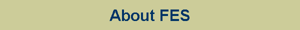 About FES
